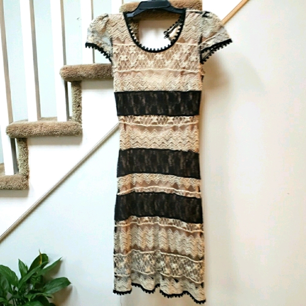 A'reve lace bodycon dress